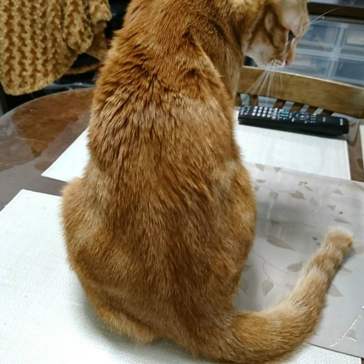 1ddb0c2d 329e 4575 8bed c333b051f8b9 1553468899562