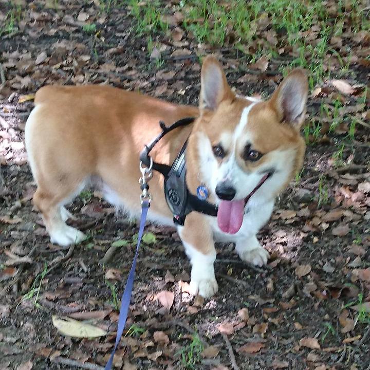 1ddb215c 9882 42c9 a526 be1b15719d7d 1650853146983