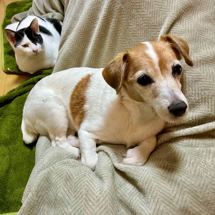 1ddb3c30 3bb6 4bd5 ac3f c5d7ae449b7a 1705149784986