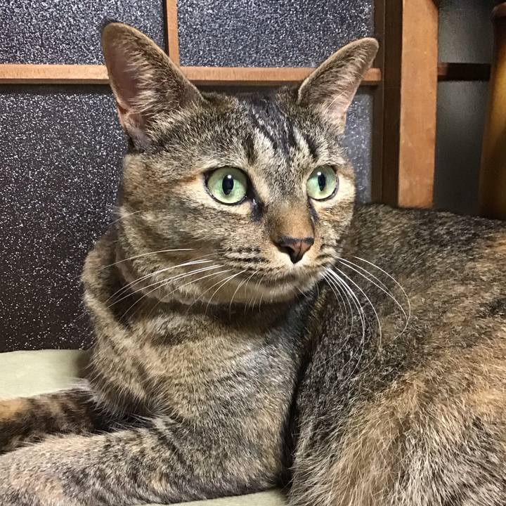 1ddb489b 6142 4bf7 91fd aea5dd848aac 1660741130624