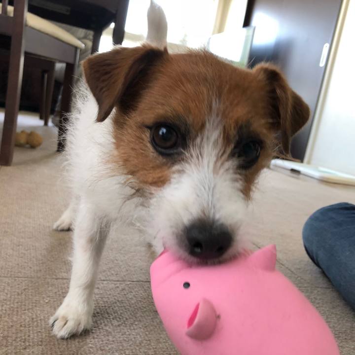 1ddb536b 0b8d 478b acc3 c2005e19dde3 1526798929718