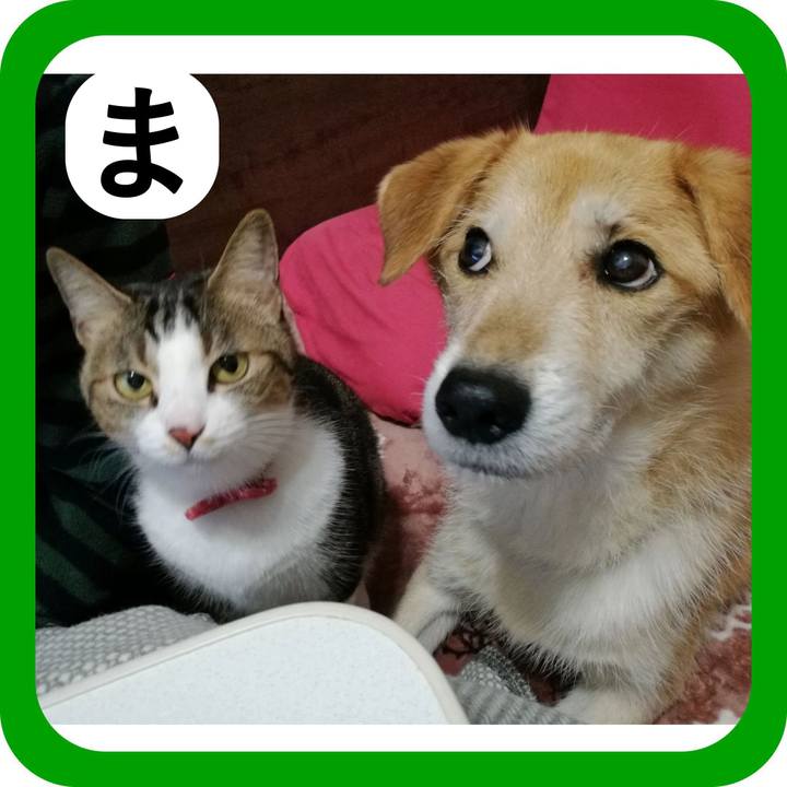 1ddb804a 4526 4f04 b51c 30c93cbfd137 1515153683690