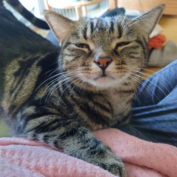 1ddb88d0 1c7b 46a8 811c 17dfef00b6c0 1668039393326