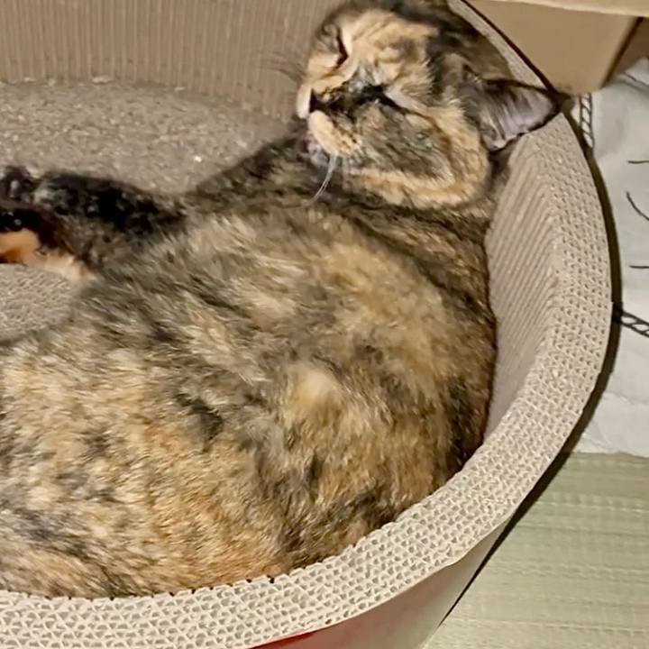 1ddbb6ac b7b5 4bae 9694 662a7446ab6e 1758055529708