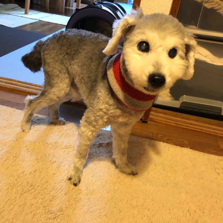 1ddbd812 270b 4637 aaab d1f8b3ceec3d 1667306880183