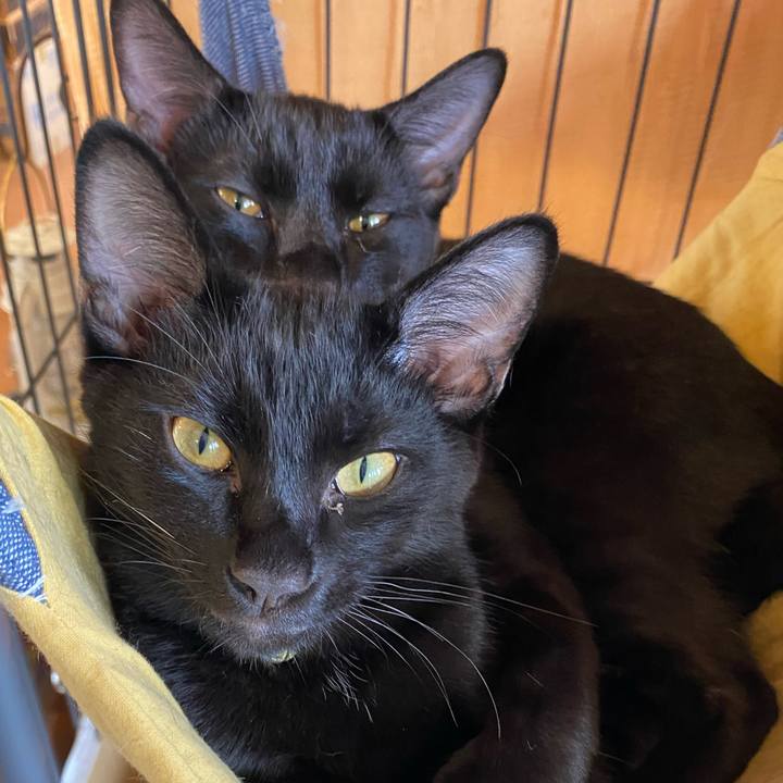 1ddbe519 092e 4bb6 a306 2efe486c0436 1757821963431