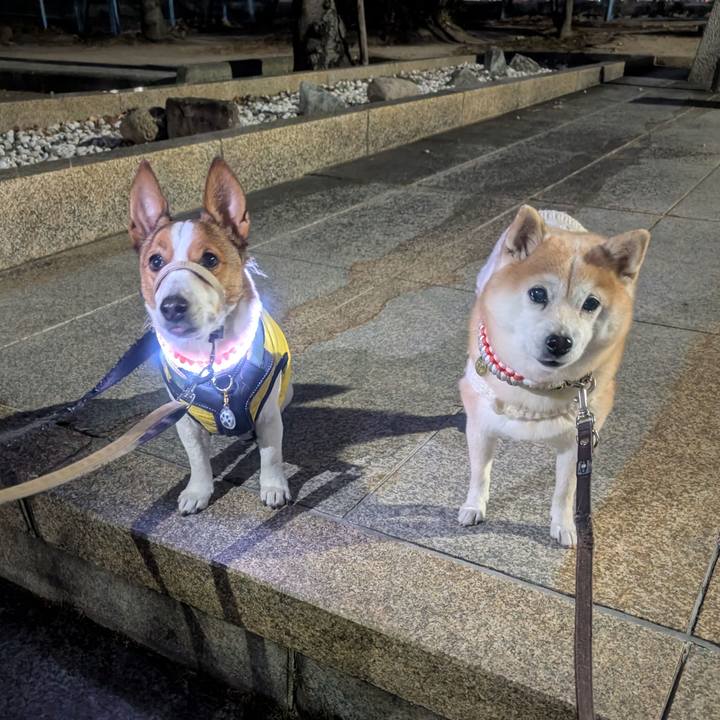 1ddbe97d d6c1 434a 8d09 277a8c530efd 1767606645153