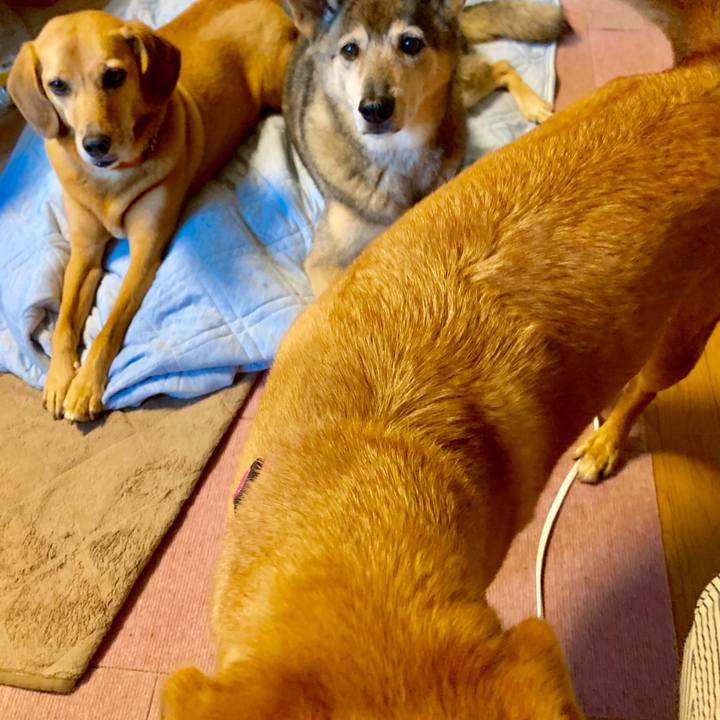 1ddbef8d a90e 4538 a7ad ee62cfad78f5 1567858766403