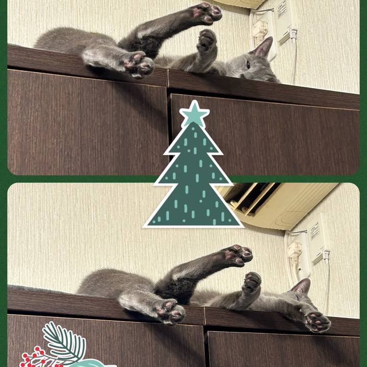 1ddc5928 ce10 4854 b183 af173529a87a 1702285897248