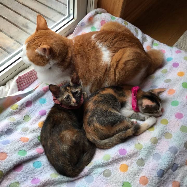 1ddc5f18 aa97 415d afbc 3c02f87edb75 1598742598098