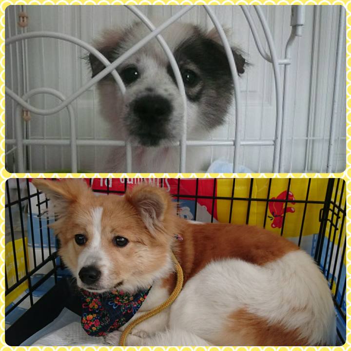 1ddc6013 094d 42d1 a9b3 86dd28563af6 1517058174151