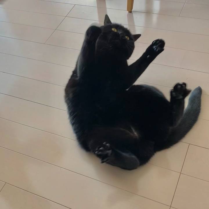 1ddc8aa5 37c0 47f1 9f33 081eb905c3d5 1612942412715