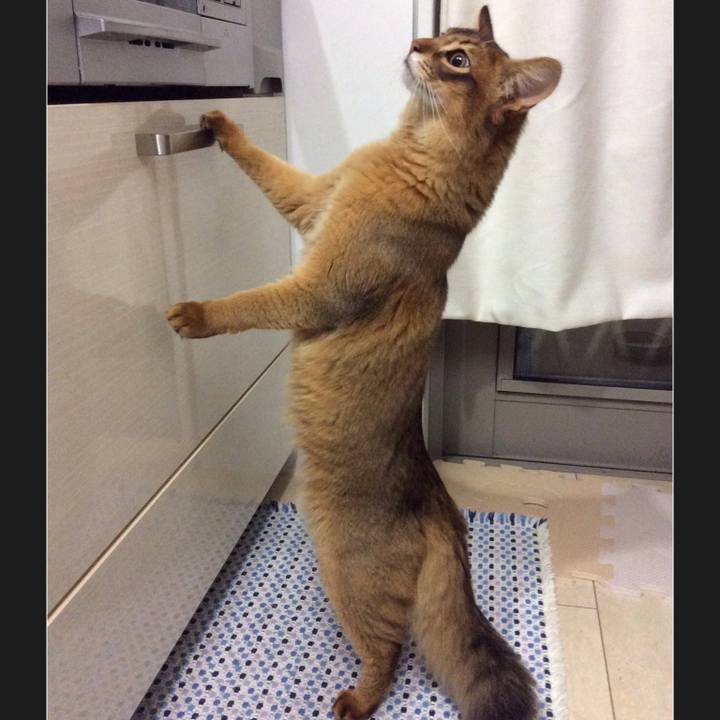 1ddc9004 0176 4232 b05a cba887031632 1581579654135