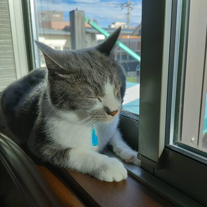 1ddca0a2 bd67 4b4f aedd 89a94930e184 1660272982865