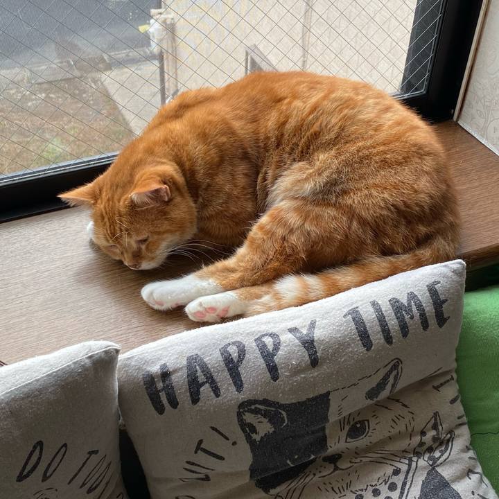 1ddd02f3 28ee 44d7 9e9f 51c9abdf519b 1606414103981