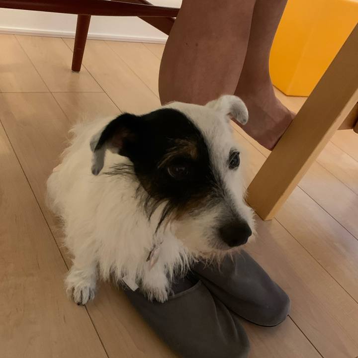 1ddd121b f125 46f2 821a a23a4d416e94 1657875983193