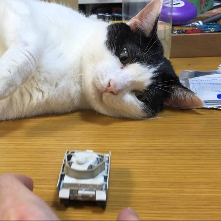 1ddd20da eefa 4a08 b7d4 481b98b0a371 1600053874886