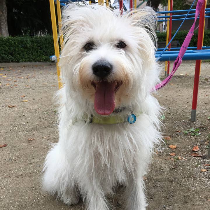 1ddd4b9f 4ecd 4e7e 9702 2d55bcf5481d 1569738817831