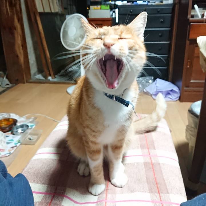 1ddd8103 8267 4422 96df 85d359541a96 1600550053165