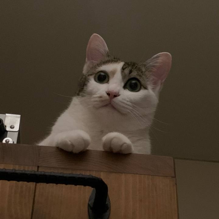 1dddcace 6c76 4ccc a5f8 36db945e3422 1630116228906