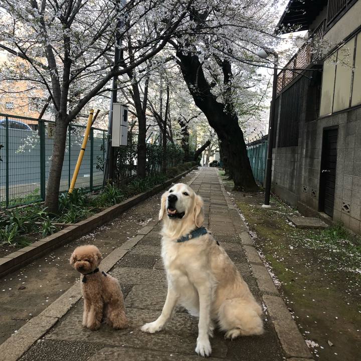 1ddde252 6705 469d 84bd 71108979edb1 1555917755401