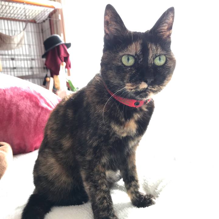 1dde2acb 80fe 4e64 977f 7d83062719cf 1571622120914