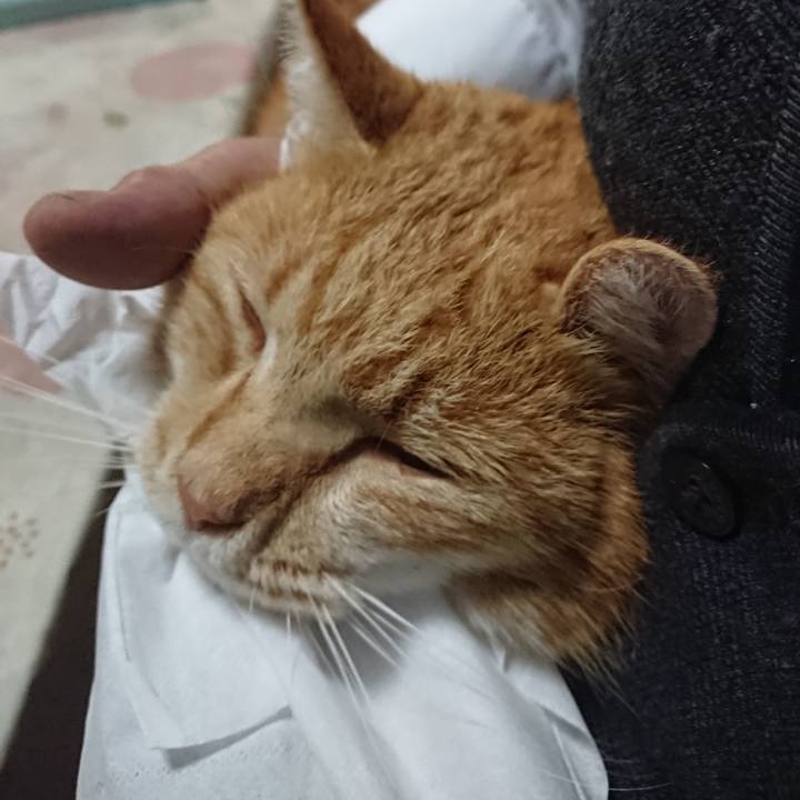 1dde5a86 431b 44c6 ae8e 31ff3a5b4eac 1577354448633