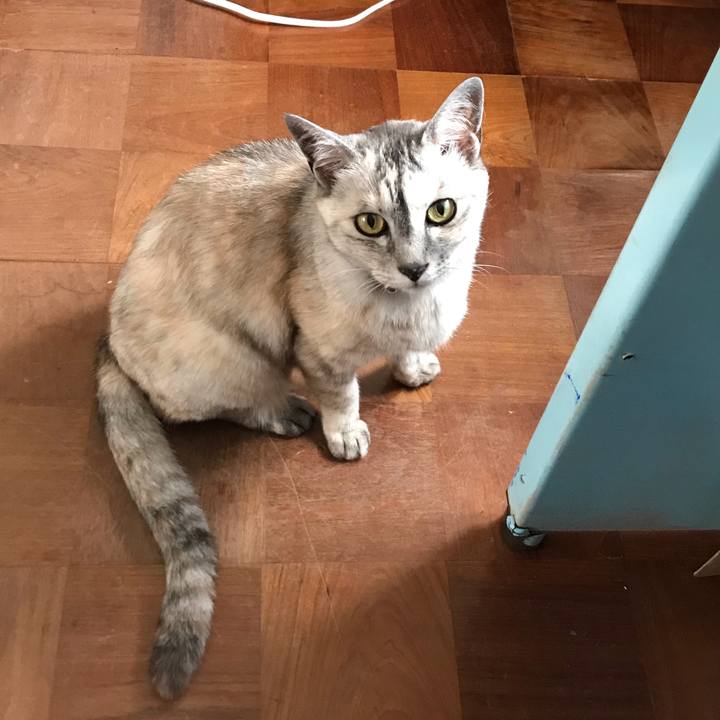 1dde99da af74 4288 8b44 b88667e0f21a 1595487215503