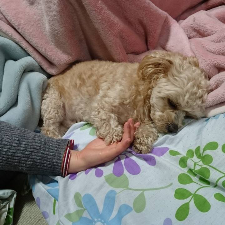 1dde9f44 fbe7 4d83 8390 28830829e915 1523027492962