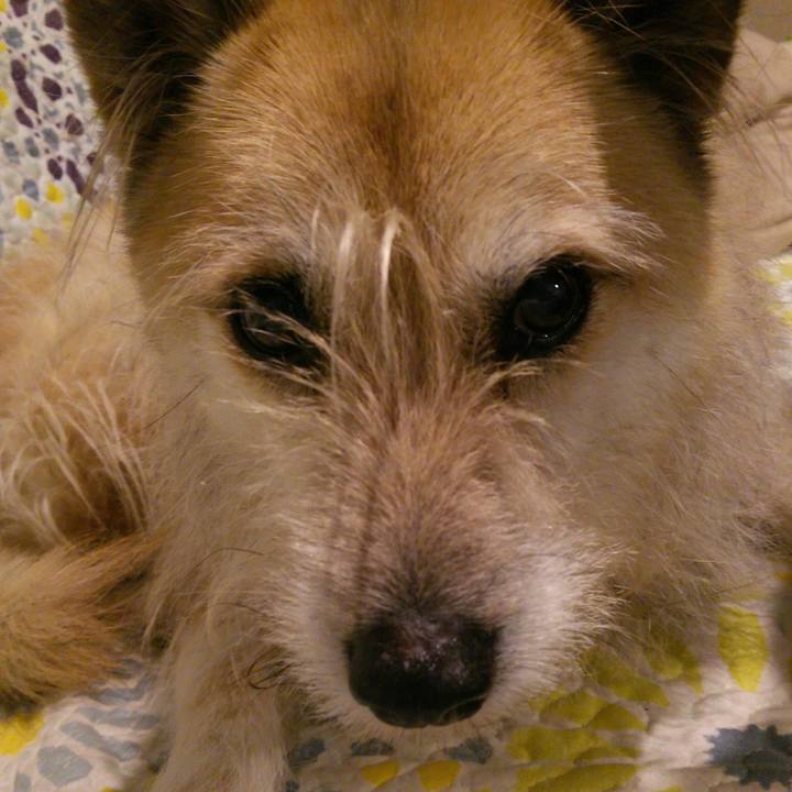 1ddeb776 0912 4ea9 8c65 ebdcf5f75bc7 1523626375053