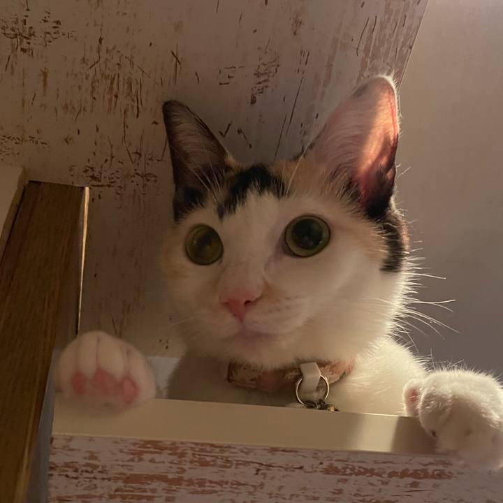 1ddeb848 210b 471f 9757 ae4ef93d41a7 1696085275033