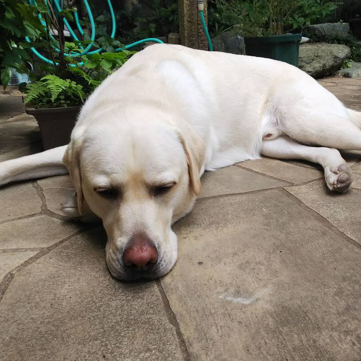 1ddee47c d036 4e1a 97bb 409c8eb1df2d 1527483396064