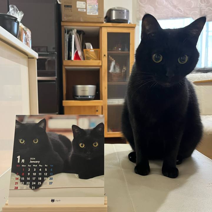 1ddef56d 3c19 4084 974b 04b942f32dd2 1700610155275