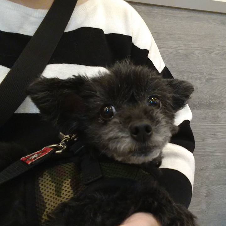 1ddf199a 2f07 4cfe bfbd 17d3e8317244 1621675209956