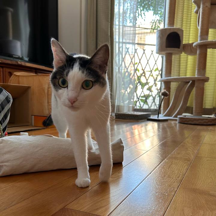 1ddf359e 9954 423a 9dd6 ca72fd466318 1725488402367