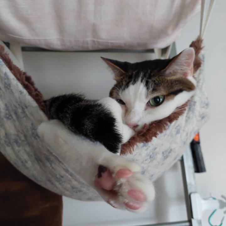 1ddf4e3f 3c40 401b 9cb8 bc0241f1e3e2 1695506926524