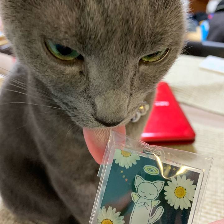 1ddfa9bb e809 4e4e 8d4a 3a97d5de6fbe 1573214760068