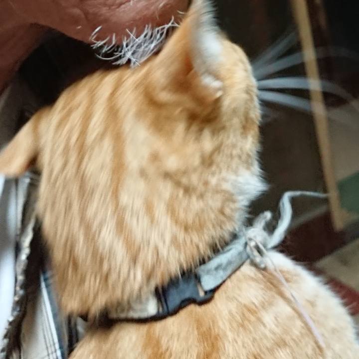 1ddfc36f b03c 4b0e a577 7969779c7364 1591040555139