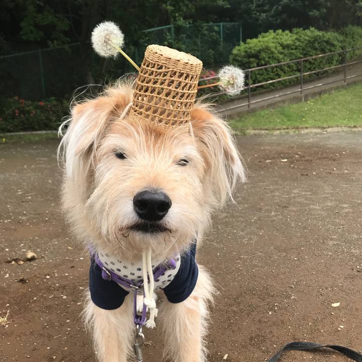 1ddfe3c5 a643 4ff3 aed6 53b42a090691 1589952130427