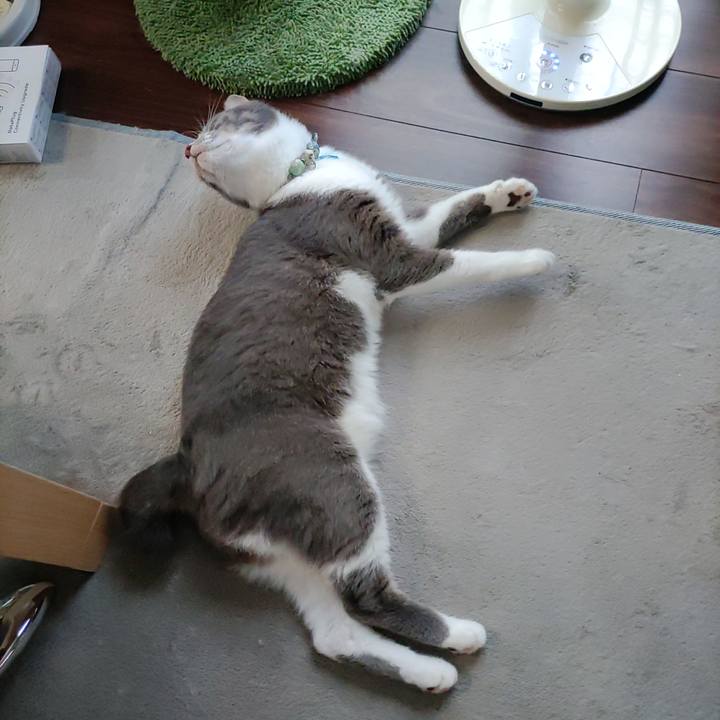 1ddfe3d0 fc51 4501 b8a1 f9d52c5af89f 1694471374903