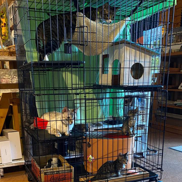 1de00ae3 e31b 4c17 8ffe 3daada6318be 1721729440365