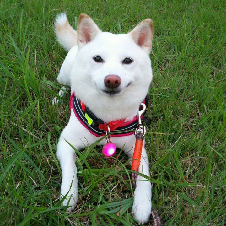 1de030cf 4a3e 4010 9c0a c475658f07c6 1563877711139