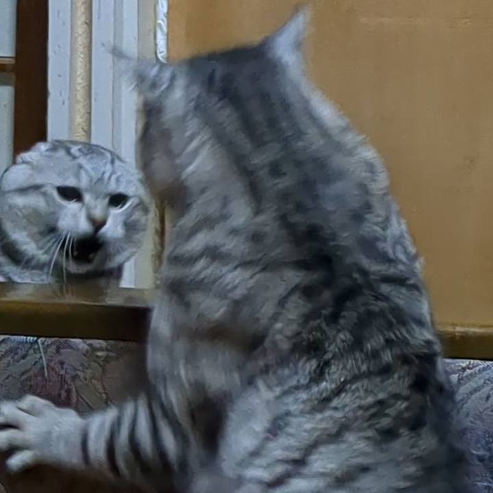 1de03616 41b3 4371 bff0 155883a8cf65 1727792158343