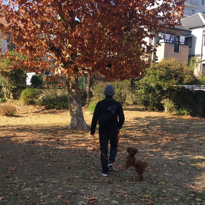 1de06246 97c2 49bd b3a2 e0ff48871e12 1512379595052