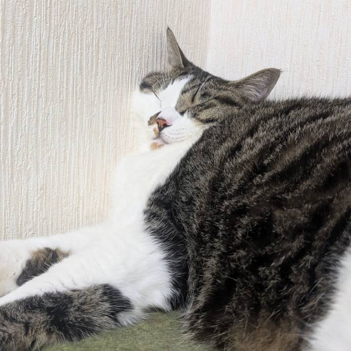 1de08b3d 6832 48f9 85dd e4c8a8694810 1754464654992