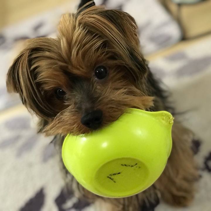 1de0f14e 96be 4612 9a45 b2f41c053dfd 1521503558668