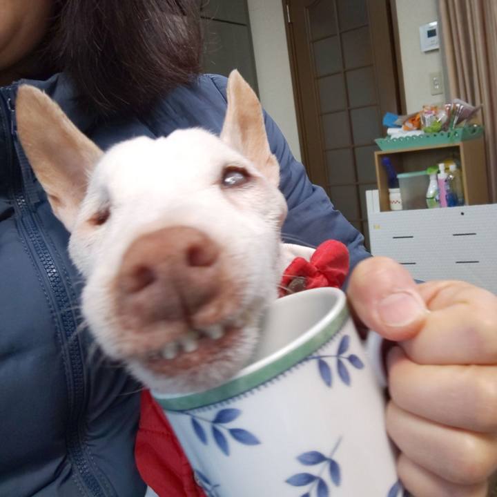 1de0f8e5 5e0a 4c78 bb18 9ee7f973a37e 1611185802889