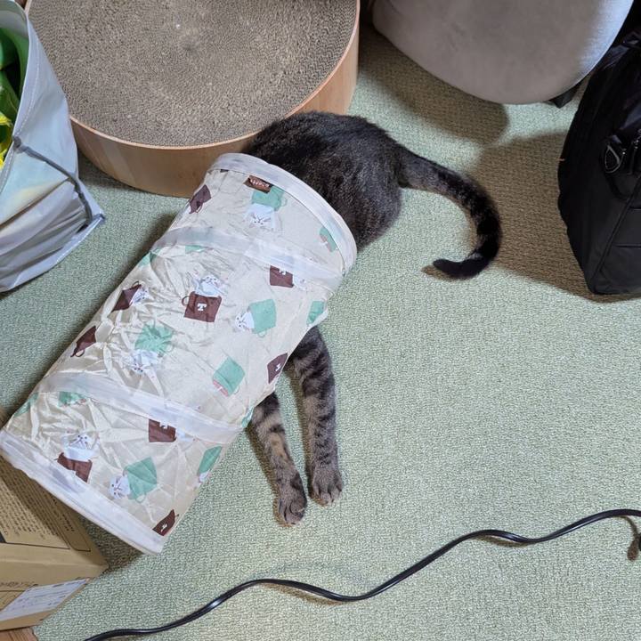 1de111b5 35d9 401b 8182 076f8e4e2f89 1767686925982