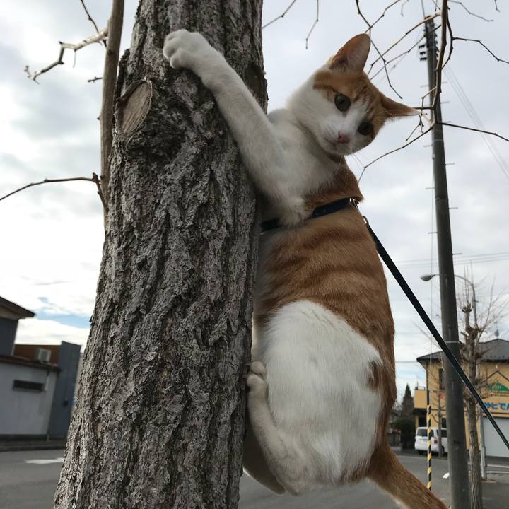 1de1681d 3716 4f18 a06d c310475a9f3b 1512879374937