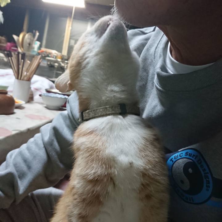 1de1708a 7164 4eba aff9 6ceff6fdd8fd 1590749944299